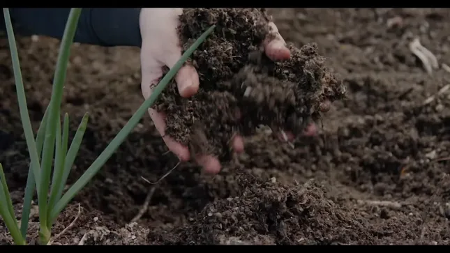 Engineering with PittMoss