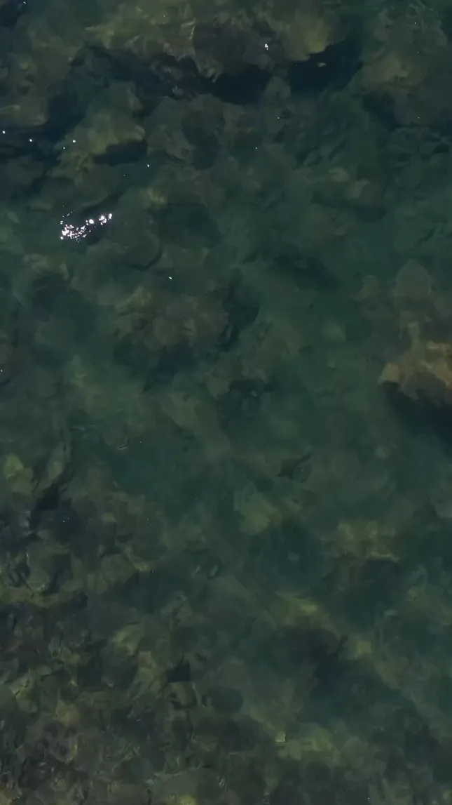 Drone Reels