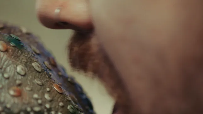 TDWP - "Flowers" Short Film