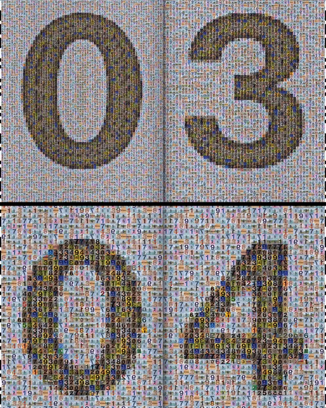 Project image