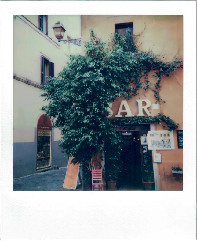 Polaroids