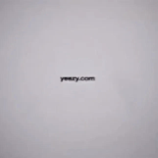 Yeezy WET