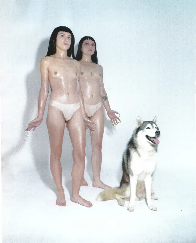 Project image