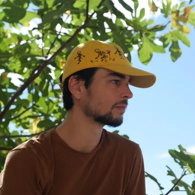 QL  Avatar