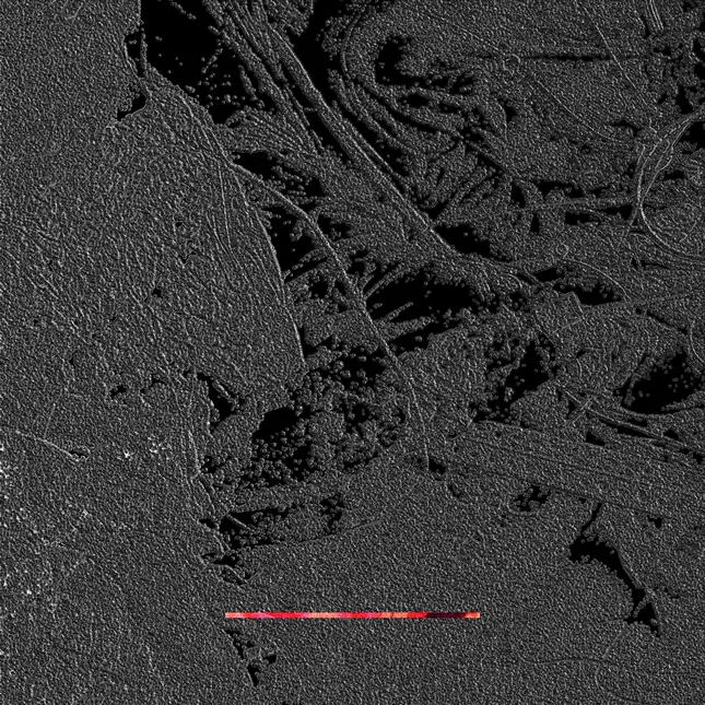 Project image