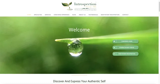 Website - Introspection Beverly Hills