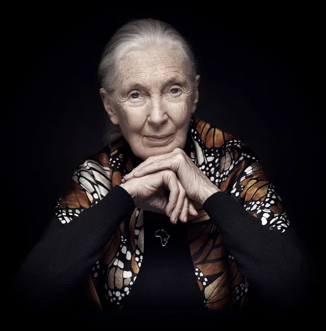 Jane Goodall