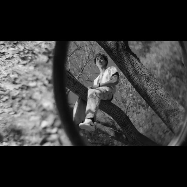 Mirrors (skate video)