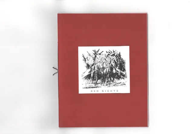 “Red Nights” Sydney Acosta Zine