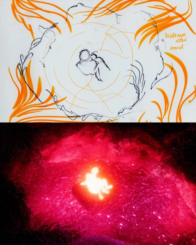 Project image
