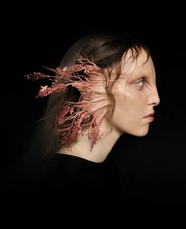 Ciela — Artwork