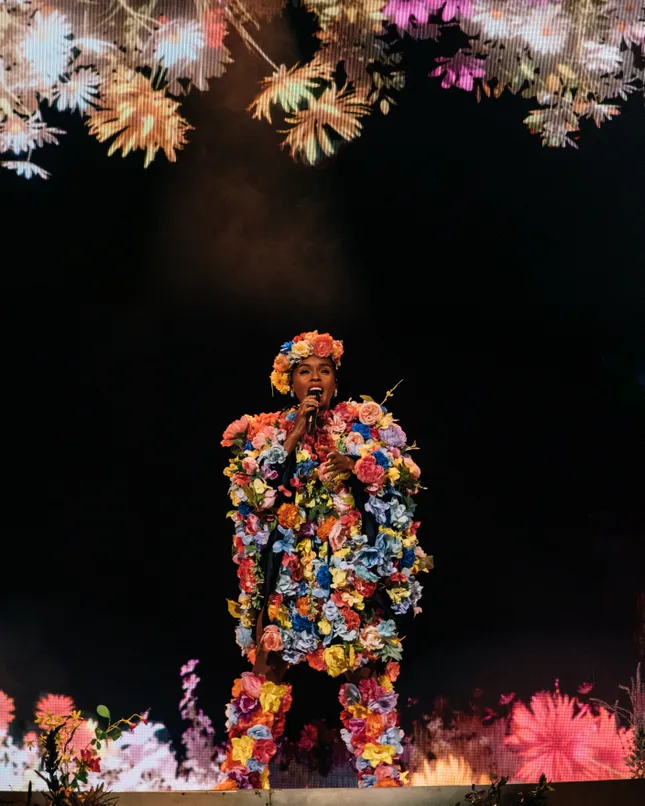 janelle monae x the age of pleasure tour