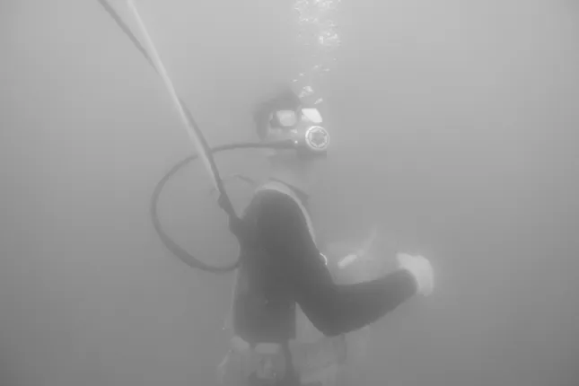 Sponge Divers of Tarpon Springs