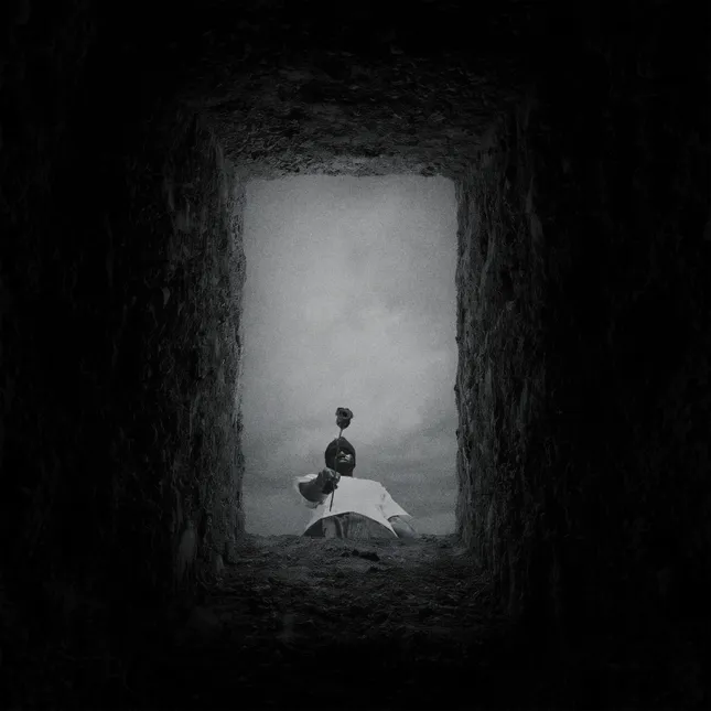 INTERNET KILLED THE SUPERSTAR Album Artwork