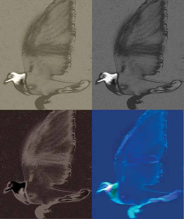 Project image