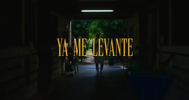 Dayami ft Polo Bandz - Ya Me Levante