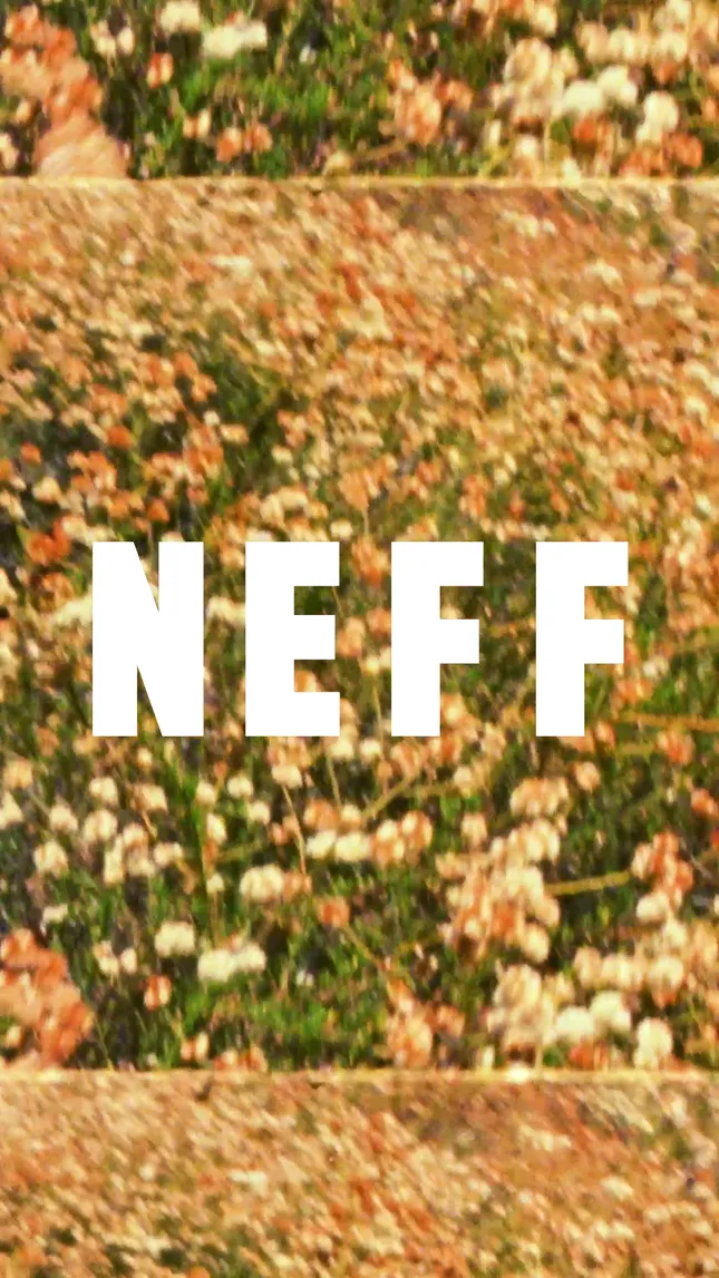 Neff - Fall Collection