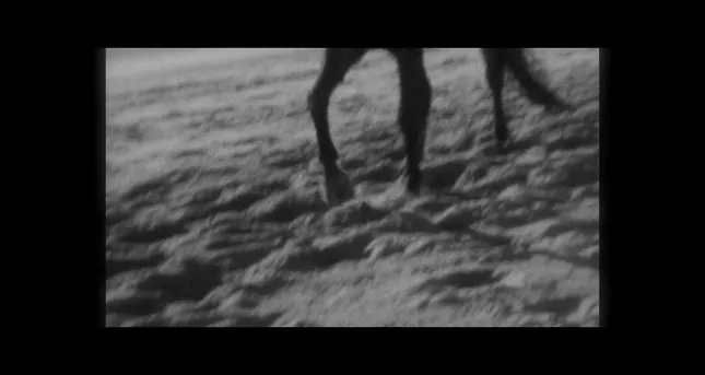 Duncan Lauren pt. 1 of 8