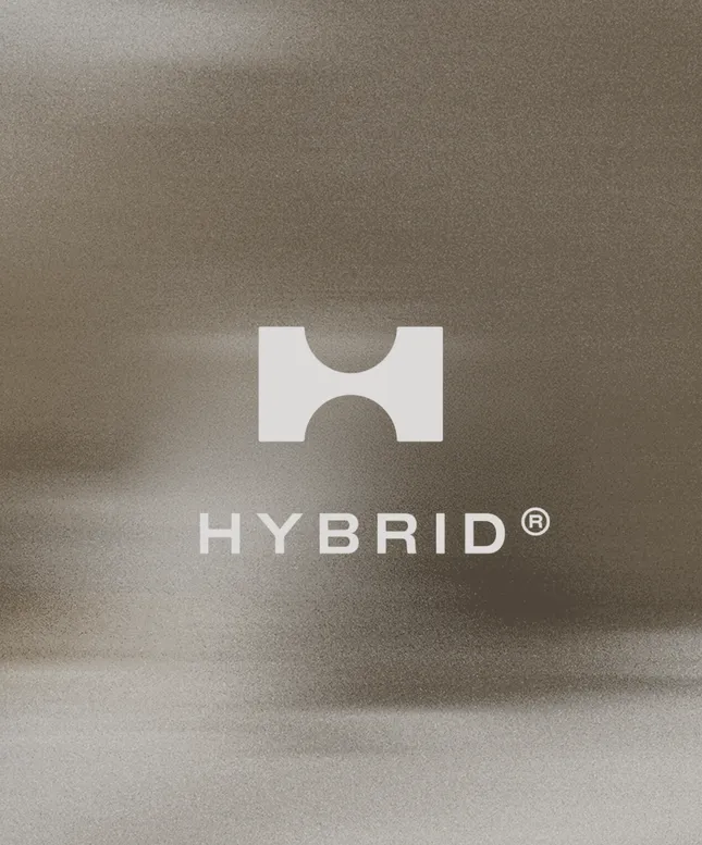 Hybrid_Brand Identity