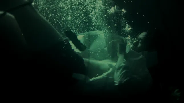 Bring Me Back, Dead or Alive