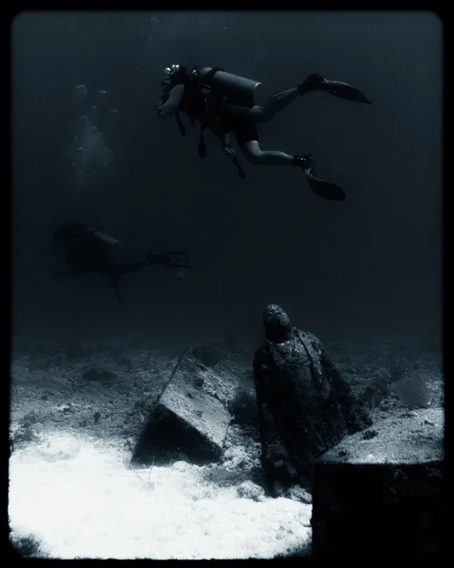 Project image
