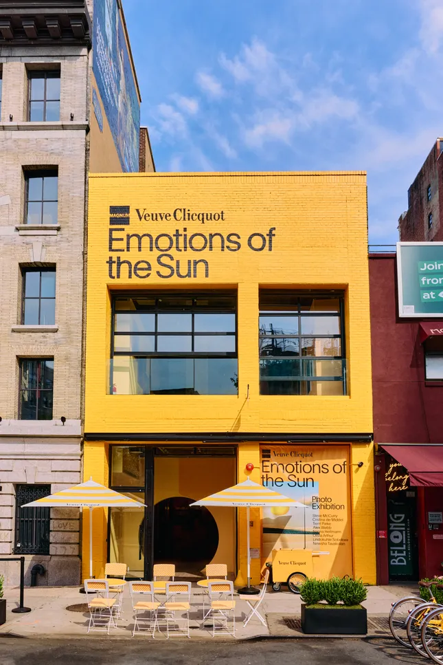 Emotions of the Sun