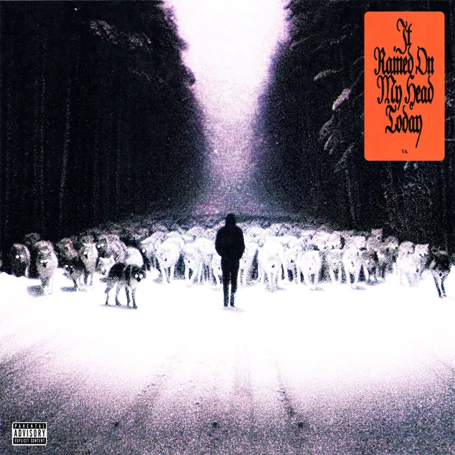 ‘It Rained On My Head Today’ Album Cover Artwork