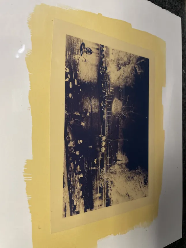 Project image