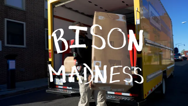Nike: Bison Madness