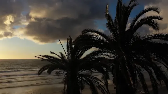 Matthew Levin Cinematography and Camera Operating Reel