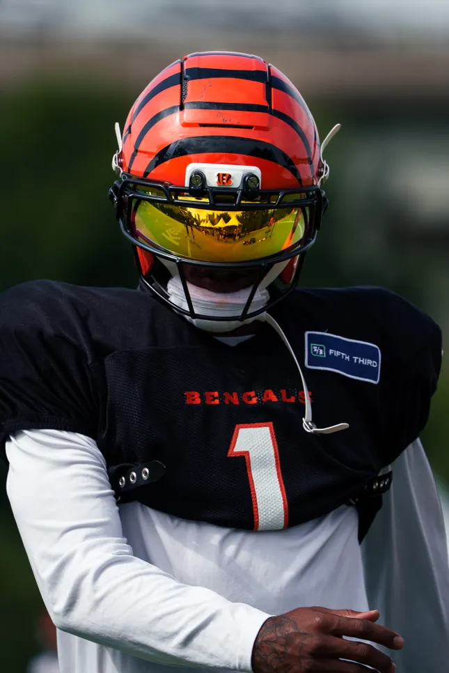Bengals Camp