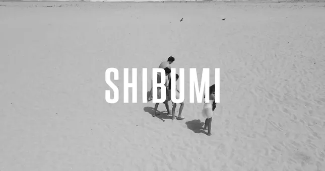 Campaign Ads for Shibumi Shade