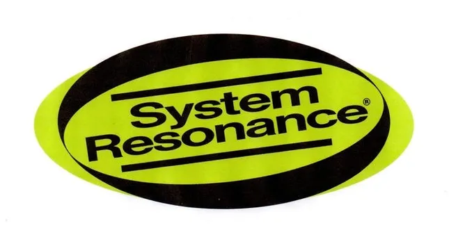 System Resonance