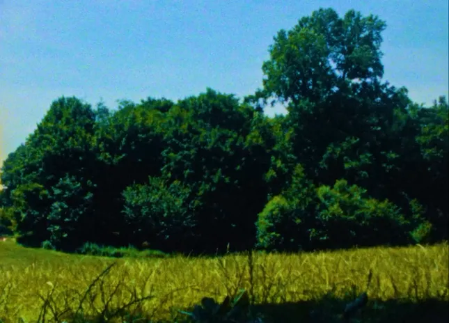 Drifting Summer