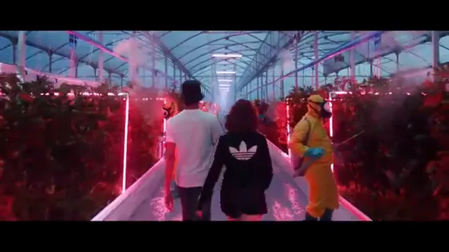 ADIDAS - Your Future is Not Mine