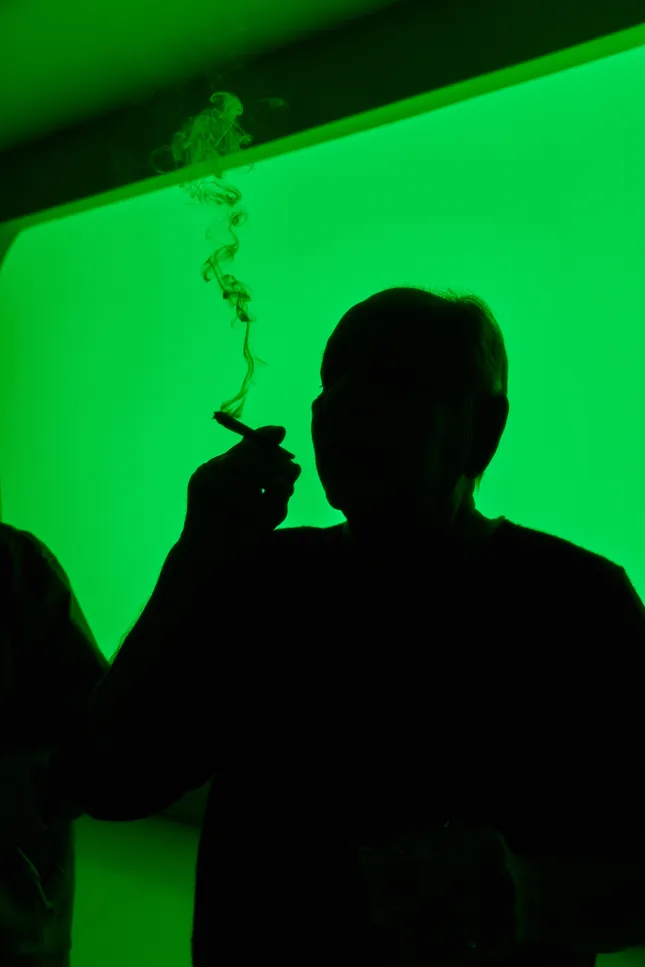 THC NYC - Cheech & Chong