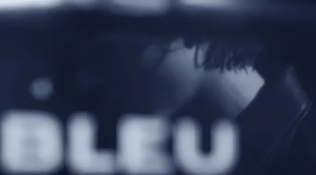 Timothée Chalamet X BLEU DE CHANEL