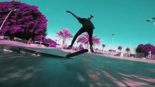 Skate day in LA