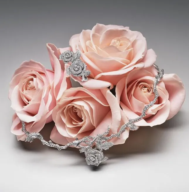 La Rose x Dior