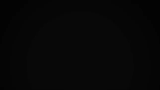 Lexus The Gentleman Driver