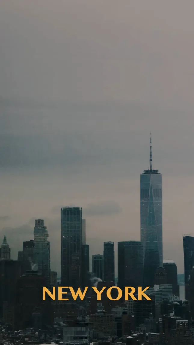 Snow day in New York