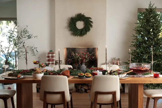 Cosori Holiday Shoot