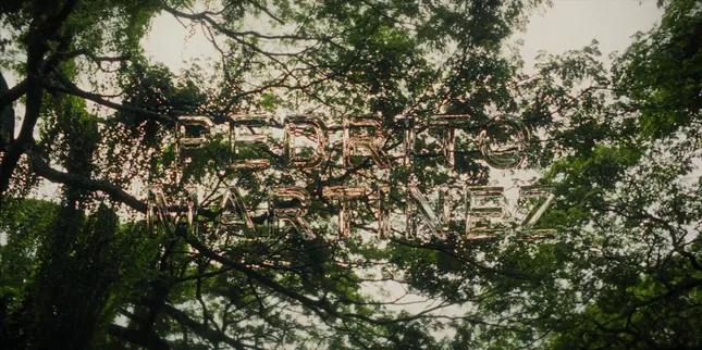 Motion: Pedrito Martinez "Dios Mio" Music Video