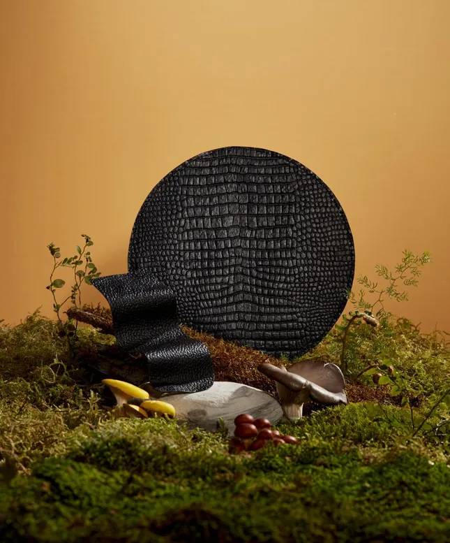 ELEVATING INNOVATION: MYLO LEATHER BRAND CAMPAIGN