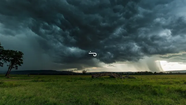 The Weather Channel:  Jacky Hunt-Broersma Story