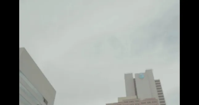 Peaceful Society Season 4 Promotion