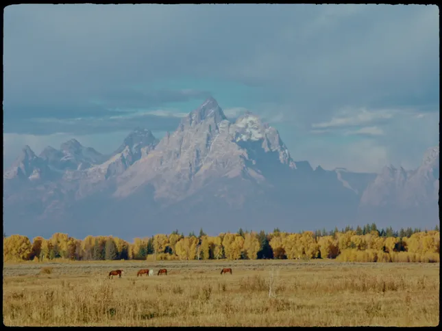Postcards from Out West