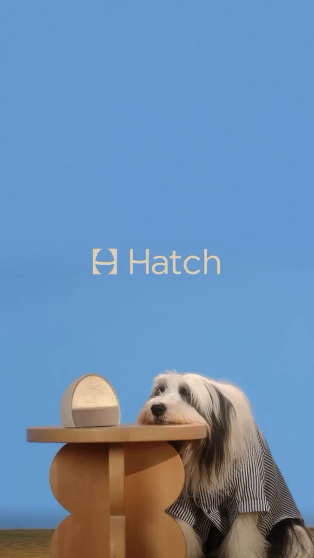 Hatch