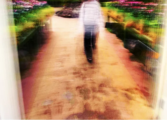 The gardens