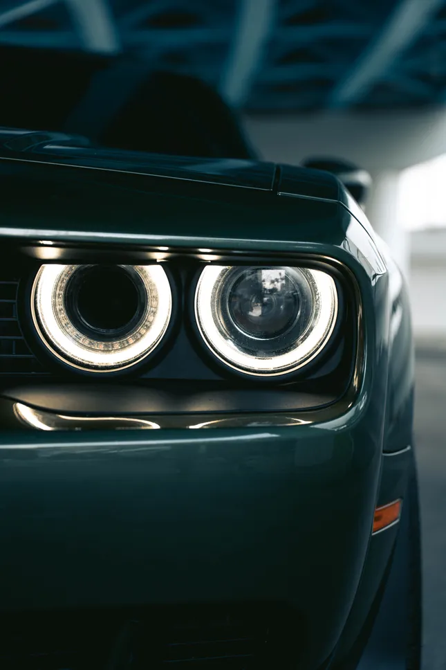 F8 Green Shaker Challenger - Sunny Aisles Florida